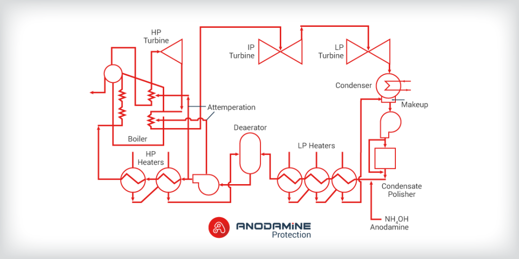 Anodamine Protection